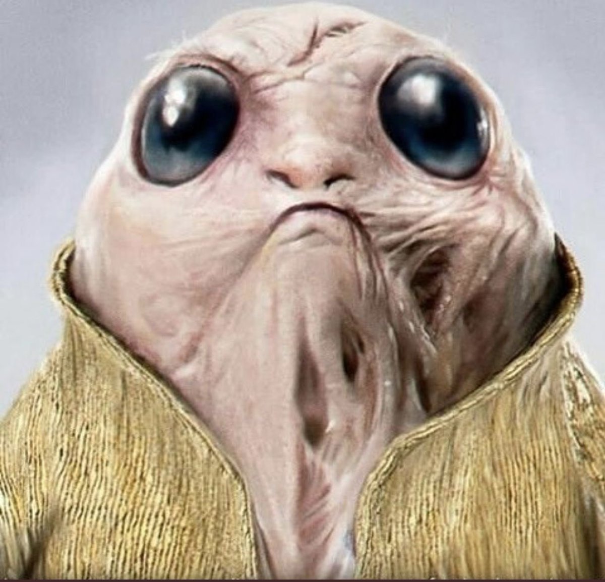 Chewys_Paradise's tweet image. I knew it! You heard it HERE 1st! #snoke #porg #starwars #thelastjedi #cnn #breakingnews