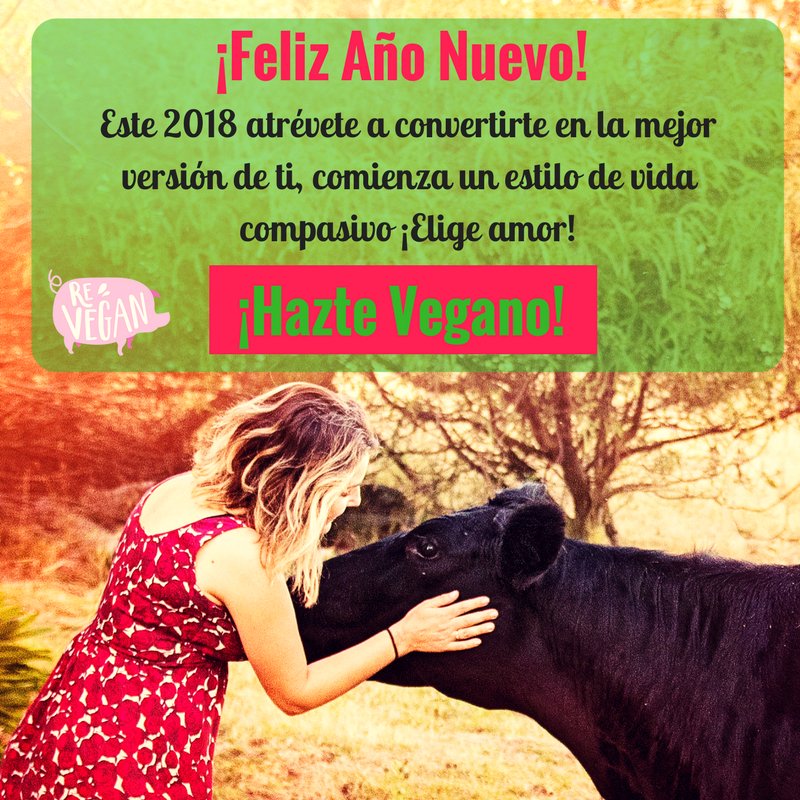 Re Vegan tweet media