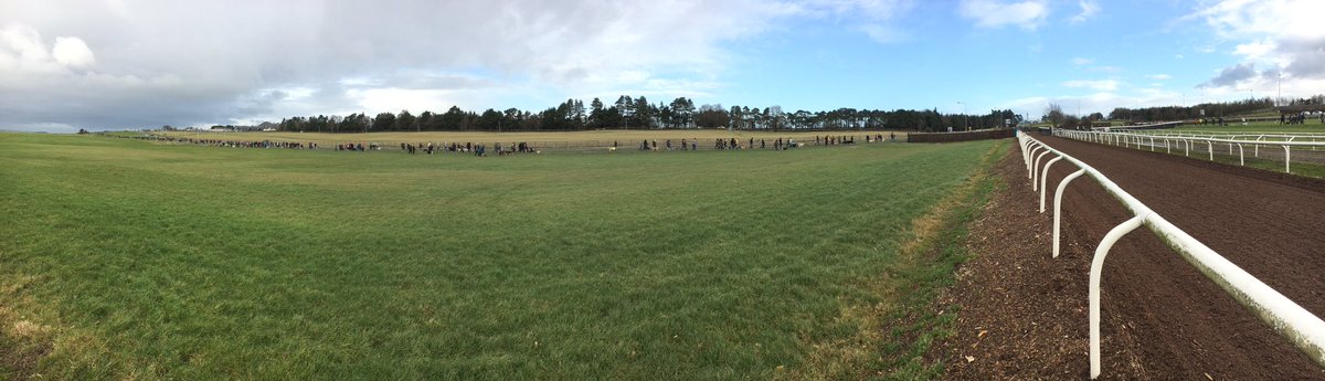 Curragh Dog Walk tweet media