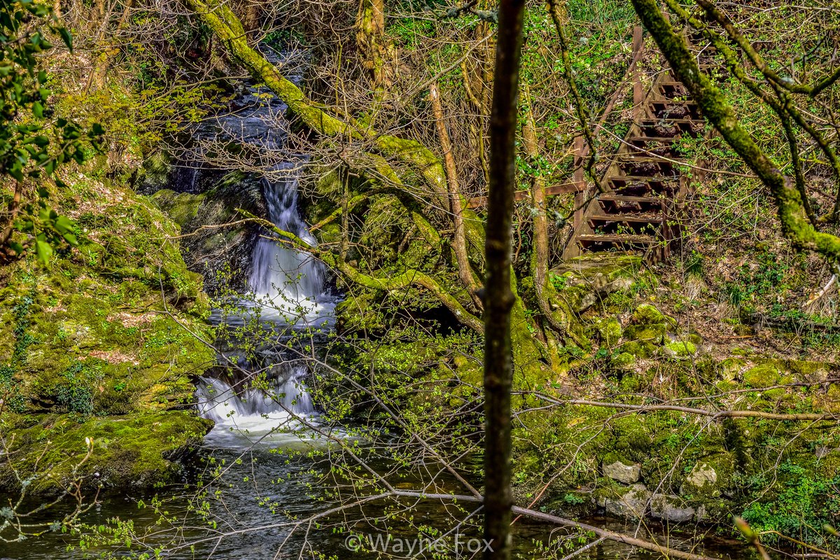 WFoxPhotographs's tweet photo. Check out these cool photos from my first attempt at street #photography in the town of #Cockermouth #Cumbria. Taken on the #Nikon #D7200 and post edited in #Lightroom trying different effects.
#Streetphotography #learning #landscape #water #waterfall #RiverCocker https://t.co/30FnnDw7lP