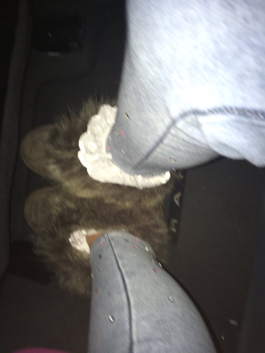 maceymae tweet media