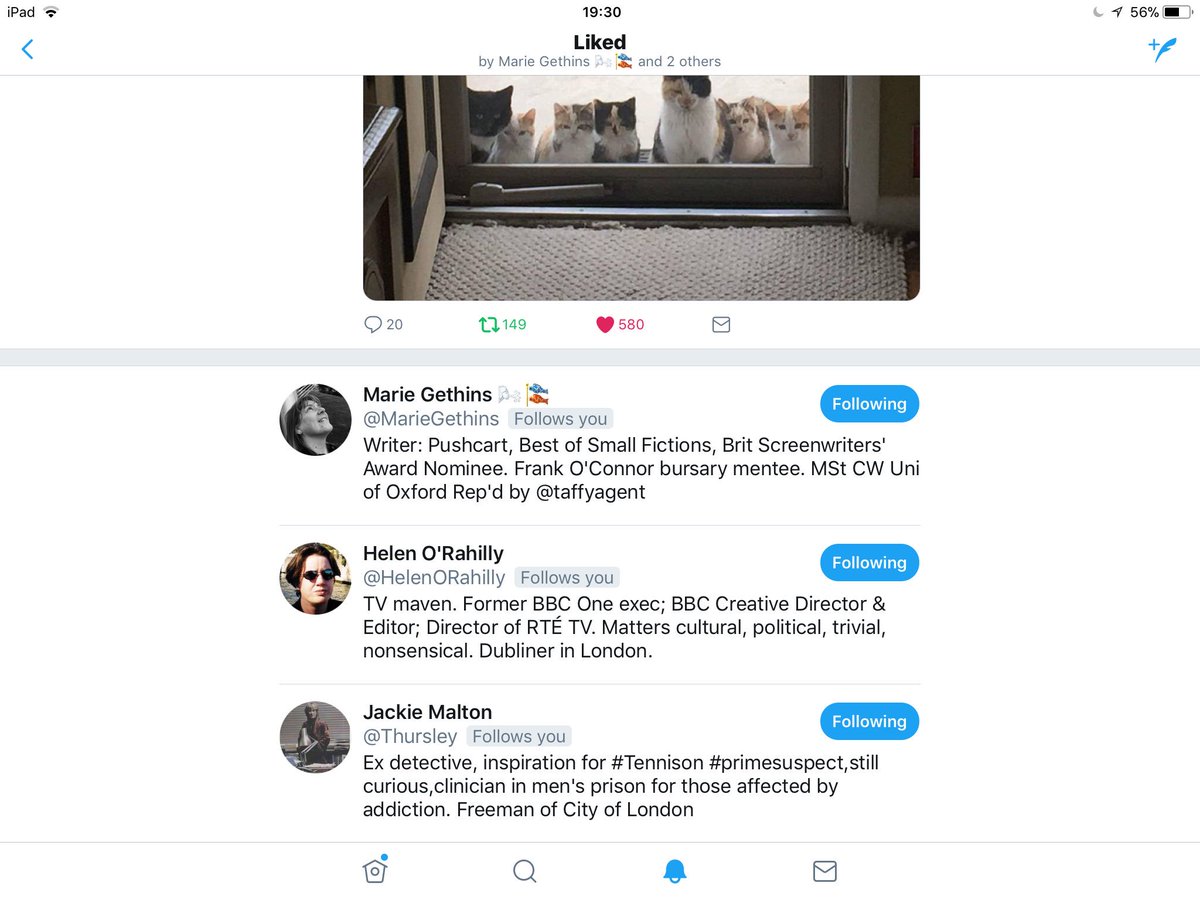 SheilaMcWade's tweet image. Screenshot of an epic fave list 😊 Happy New Year to @MarieGethins @HelenORahilly @Thursley Kind hearts all, in love with precious animals #likeMoi #cookingdinner #abitsteamboats #BelfastIdiom #gin