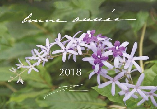 artwaniparas's tweet photo. Darshan Message of 1 January 2018. #sriaurobindo #sriaurobindoashram #darshanmessage #happynewyear #BonneAnnee2018 #aurobindoghosh https://t.co/uMY0Kq3aCi