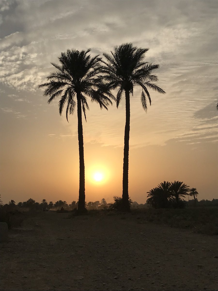 MissRaghad's tweet photo. Beauty of #Baghdad #picsof2017 #EndOfYear #2017 #Baghdad #Iraq #Home #land #peace #love #happiness 🎈 https://t.co/IGgokJpQr9