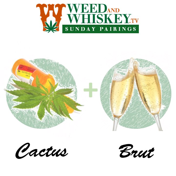 weedwhiskeytv's tweet photo. Get the best of both worlds with this NYE pairing!
Try out:
Brut (sparkling wine)|Paired with: Cactus (Indica)
#nye #parings #weedpairings #brut https://t.co/UlzMCZqAPJ