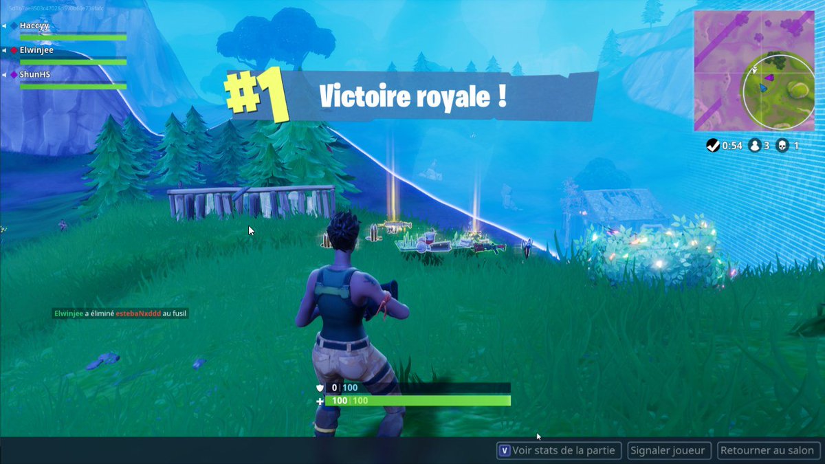 Photo fortnite top 1 Photo fortnite top 1
