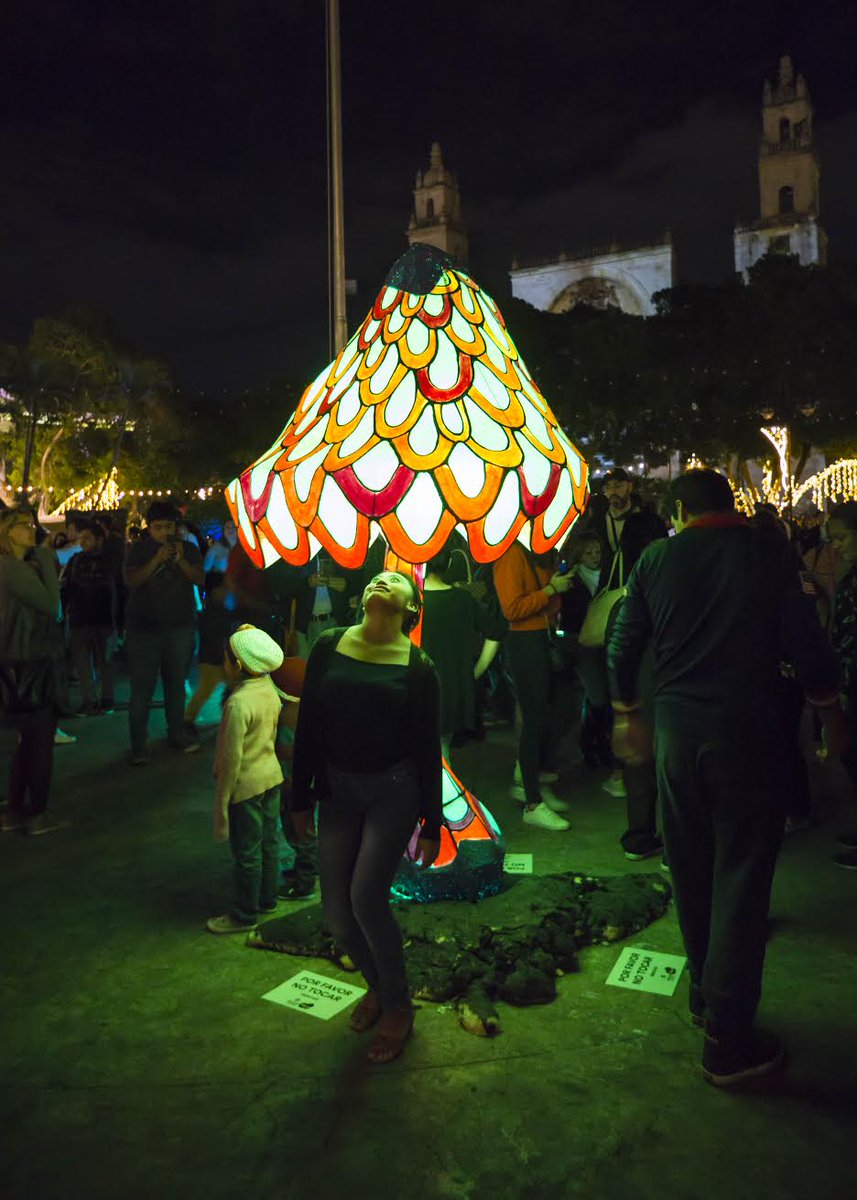 filuxmexico's tweet photo. ¡Gracias a todos los que nos acompañaron en estas 4 noches llenas de magia y luz! Termina la edición #FiluxMérida2018 #FiluxLab #MéridaFest 💡 https://t.co/qrkyNjmtS2