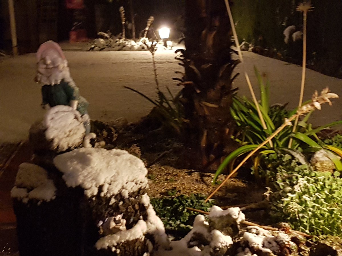 Nuboso en la sierra por la mañana abriendo claros por la tarde. Temperaturas en ascenso.Máxima prevista 9º. Mínimas registradas (hasta las 7:00h) -17,2º Cantalojas, -11,2º Sigüenza, -11,1º La Nava de Jadraque, -9,4º Campisábalos, -1,7º Guadalajara