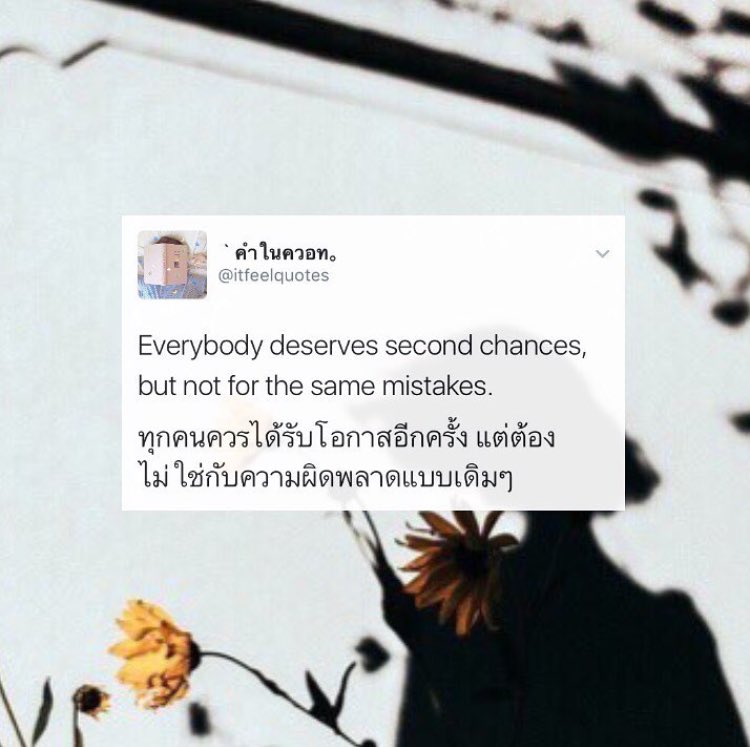 itfeelquotes's tweet photo. โควทในรูปสวยๆแบบนี้ก็มีนะ 
ตามไปที่ไอจีเลย @itfeelquotes | https://t.co/7JcYQt99Y8 

ฝากด้วยนะคับ 🌿☁️ https://t.co/KY41ss3H0Y