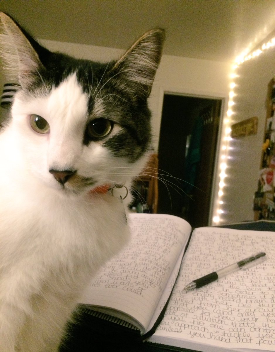 katporterrr15's tweet photo. Sat down and wrote for over an hour tonight about life and all that’s in it right now, 10/10 recommend to anyone that feels like they need to find their peace again https://t.co/iUqfLKD09w