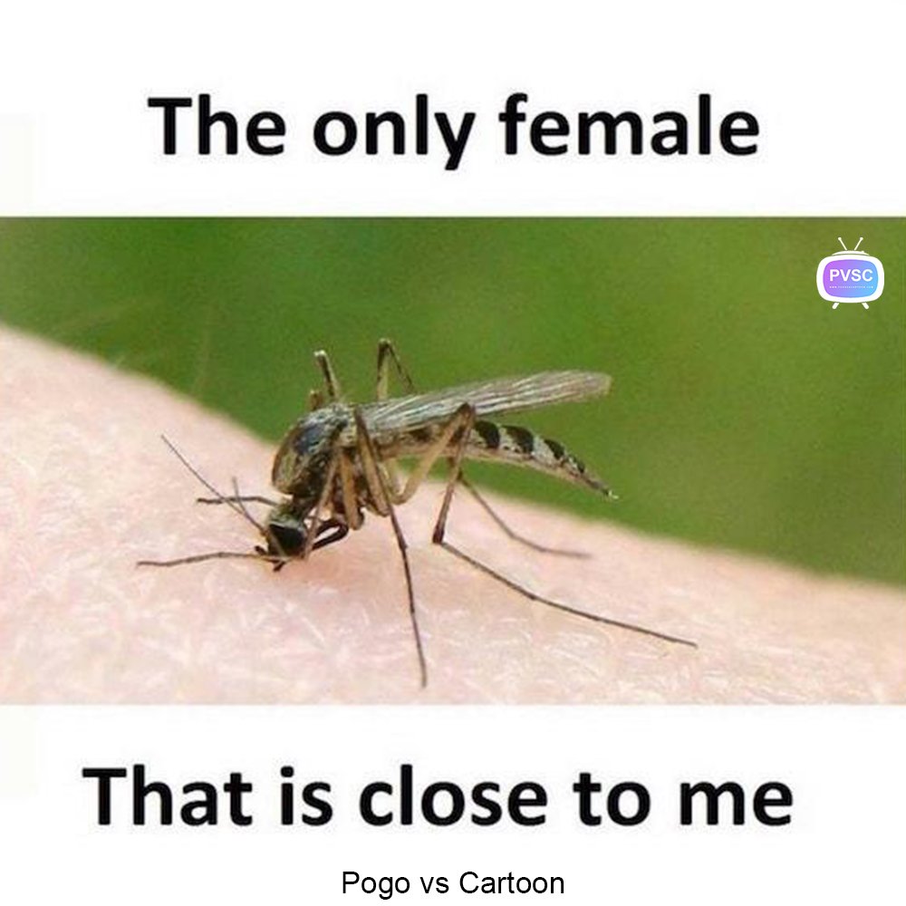 PogovsCartoon's tweet photo. My Girlfriend!!! #comedy #funny #jokes #lol #MyGirlfriend #Pogovscartoon https://t.co/9BzssLJzGu https://t.co/OSDM9kJSSS