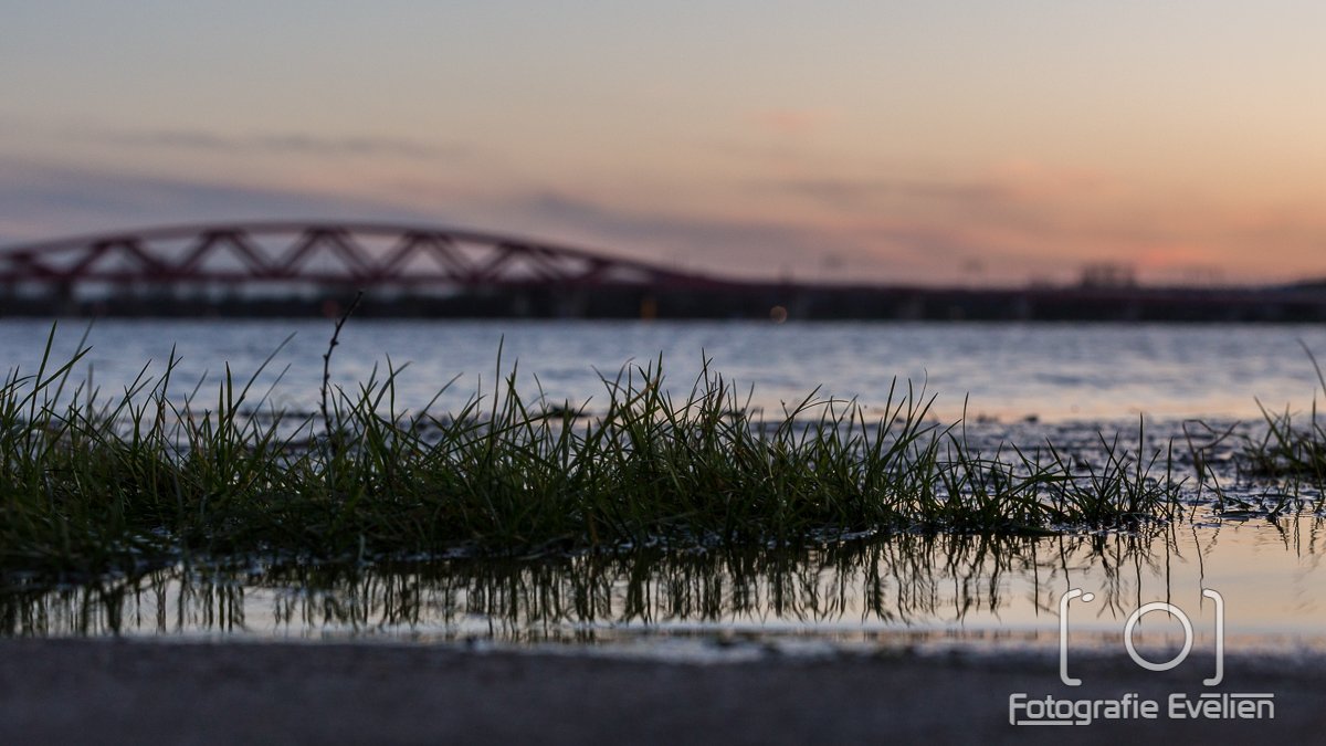 Gisteren waren er veel fotografen bij de ijssel, iedereen wilde graag een prachtig plaatje van het hoge water in combinatie met zonsondergang. Veel foto's voorbij zien komen, maar deze foto nog niet... 
#hoogwater #IJssel #Zwolle #ijsselbrug