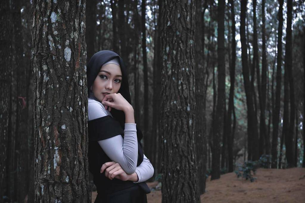 Bukit Moko tweet media