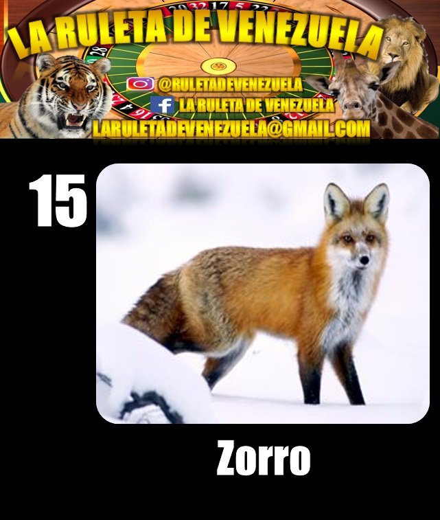 RESULTADO SORTEO N°0207 07 de Enero de 2018 Hora: 11:00 AM ZORRO 15 COLOR: NEGRO