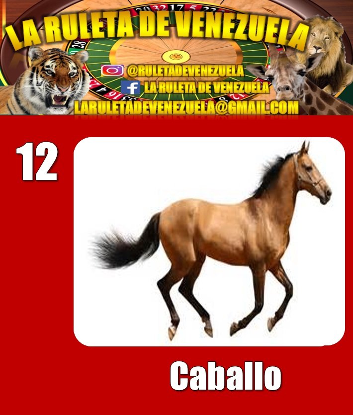 RESULTADO SORTEO N°0211 07 de Enero de 2018 Hora: 4:00 PM CABALLO 12 COLOR: ROJO