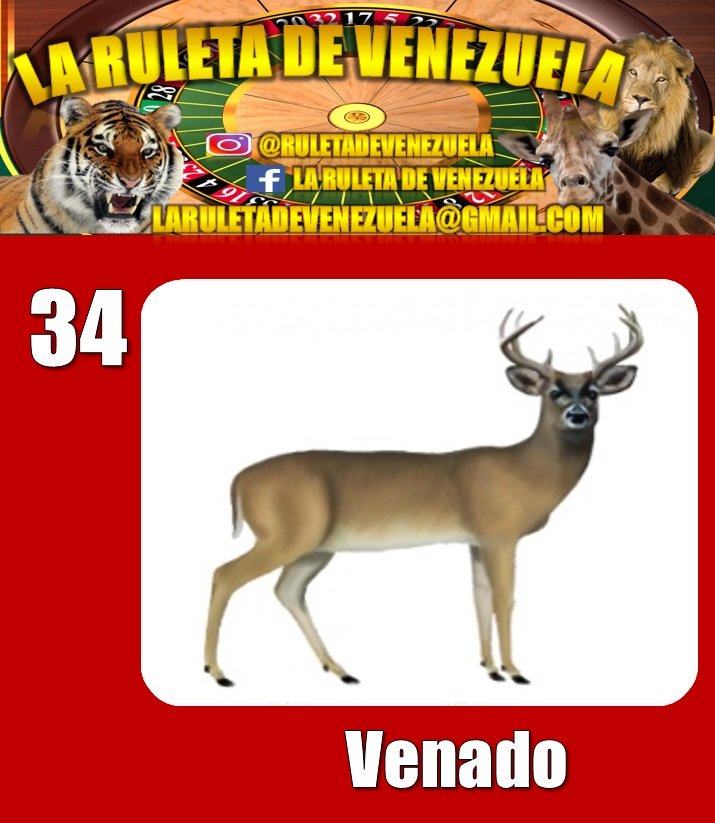 RESULTADO SORTEO N°0214 07 de Enero de 2018 Hora: 7:00 PM Venado 34 COLOR: Rojo