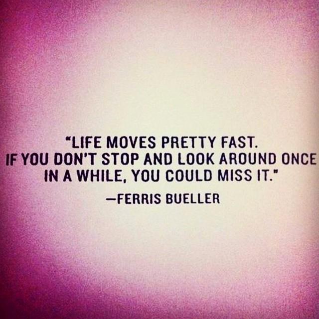 CocktailEscape's tweet image. 