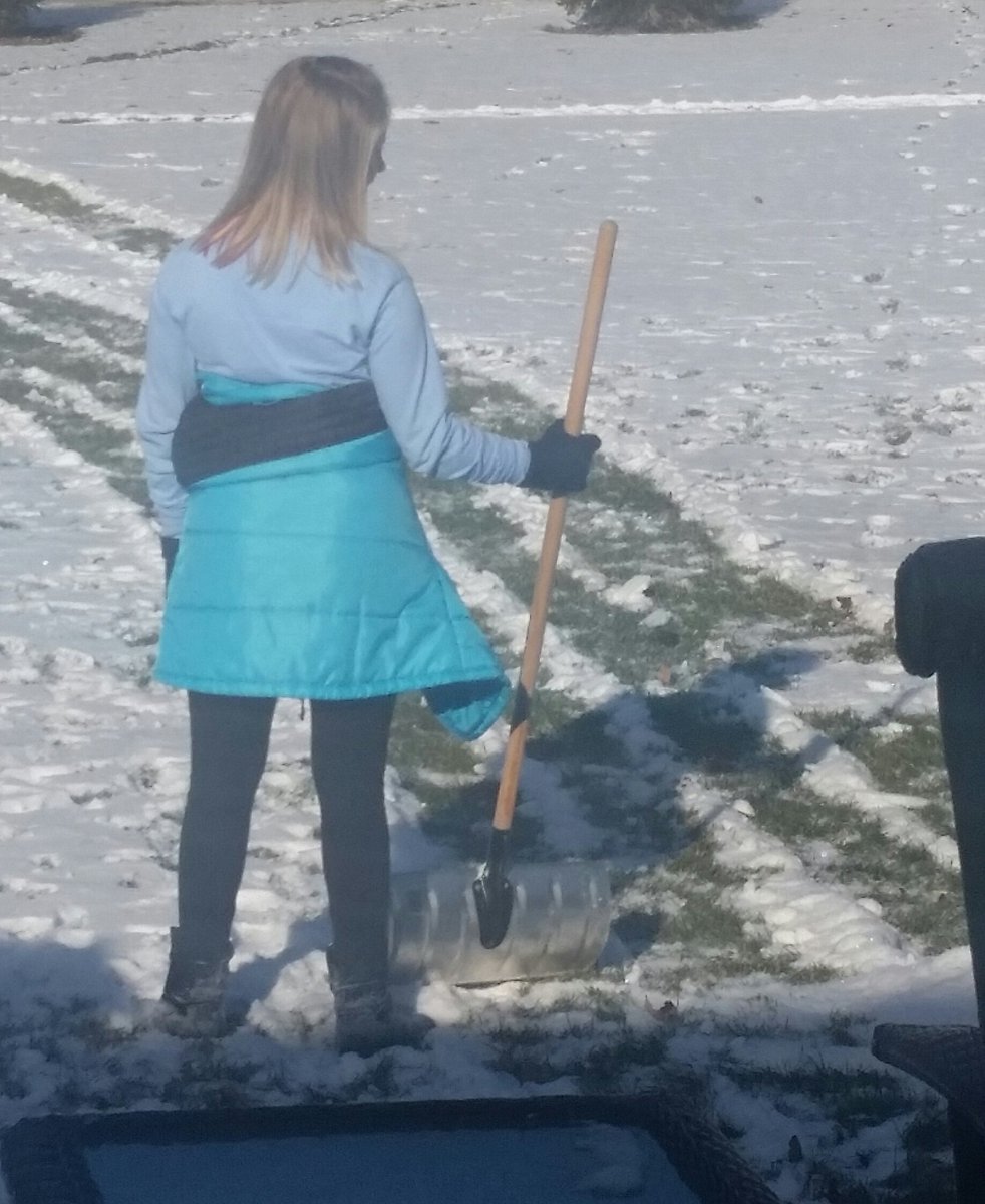 Bear Turf tweet media