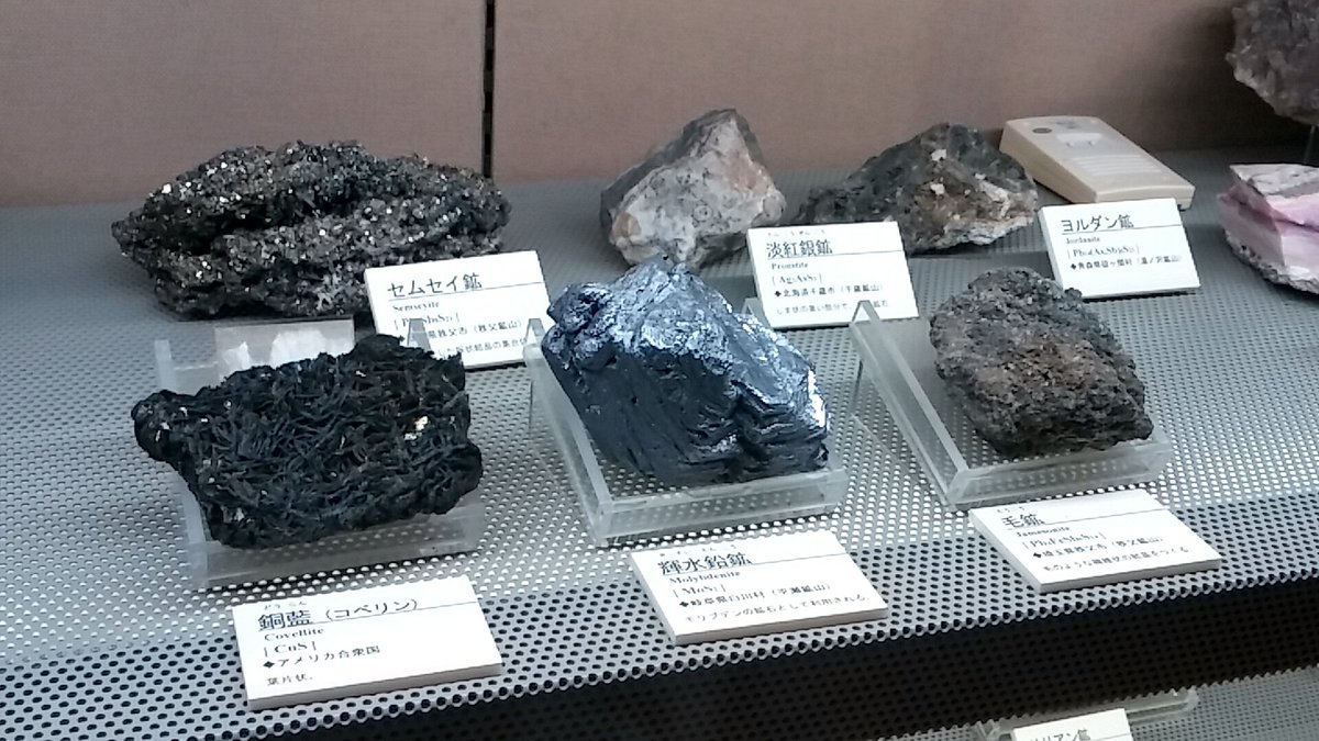 茨城県博常設とサメ展を観てきました Togetter