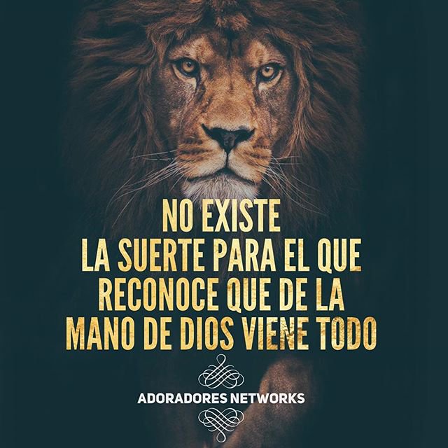 ConsejeriaWeb's tweet photo. 👌  Sígue nuestro instagram https://t.co/15h3lhXeAC https://t.co/wTz9NgSF0T