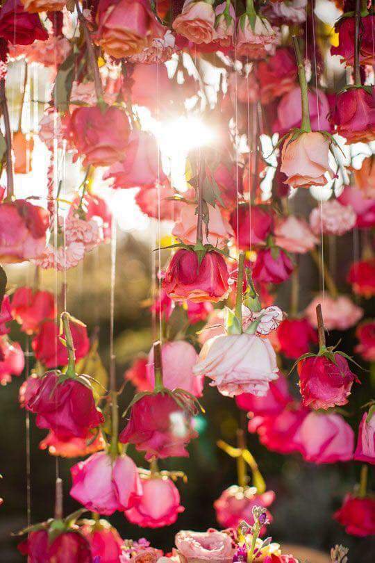 جميل هو الصباح ويزداد جمالًا 
عـندما تبدأه بذكر الله وتستودعه سائر يومك  
#صباح_الخير
🌹🌹🌹🌹