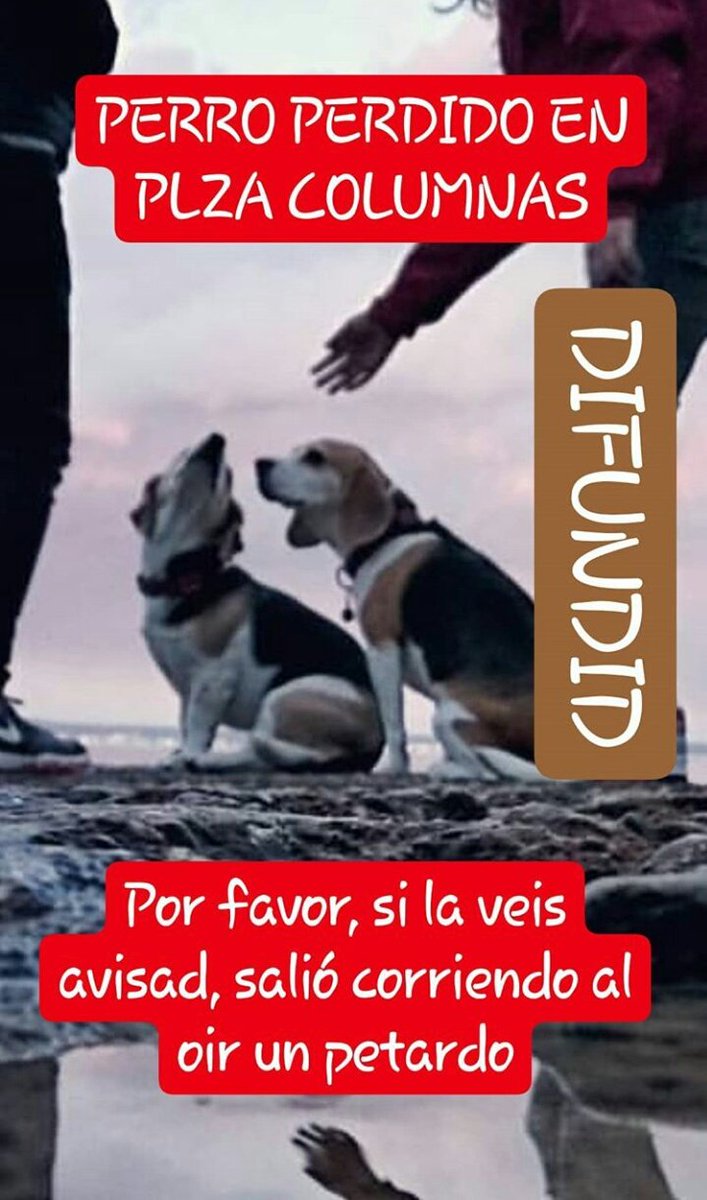 K On Twitter Gente De Palma A Las 3 10 Se Ha Perdido Una