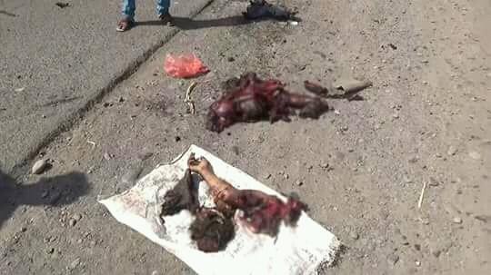 سنة جديدة واصهاينة واعبيدهم والامريكان يقتلون والبمنين وايحاصرونهم وايرسلون اصوريخ لاحراق اليمنين بدم بارد واكانهم البسو اصل كل البشروديانات