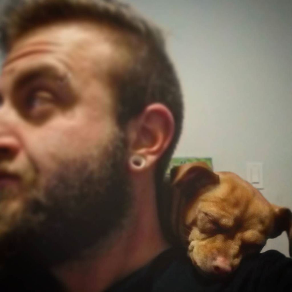 FrankPSkeletor's tweet photo. She's having a wild New Year's Eve. Keeping pace with a sugar-high toddler has been hard work. #pearl #shoulderdog #minpinchi #minpinchihuahua #mutt #muttsofinstagram #instapuppy #nye #newyearseve #sleepypuppy #smalldogs #beardgame #beardonpoint #beard #… https://t.co/TQB5QMGmXr https://t.co/paZZClhcIp