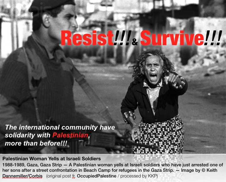 178kakapo's tweet photo. 🙏Plz join our " Storm " ◢◤

For stand in Solidarity with Palestine￼ 🇵🇸

░▒▓► On Friday 12, Jan. 2018

9 PM #Palestine
7 PM #London
9 PM #SouthAfrica
7 PM #Morocco
8 PM #Algeria
2 PM #NewYork 
11 AM #California

👍Hashtag ➤￼ ➤ ➤ #PalestineImmortal https://t.co/CKjqvh3EFm