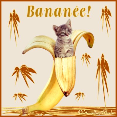 chatgentil's tweet image. Bonne année. 😊💫🎉
Avec plein de bonnes résolutions.  Comme accomplir celles de 2017 qu'on aurait dû accomplir en 2016 et qu' on s'était déjà promis de réaliser en 2015.