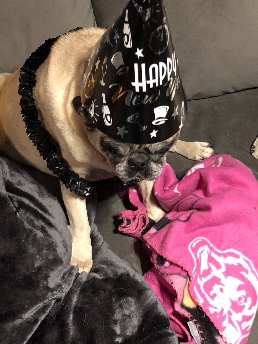 GeneralRoscoPUG's tweet photo. I think #General needs to slow down.... #drunkpug #NewYears2018 #puglife https://t.co/NWxMkLZc6A