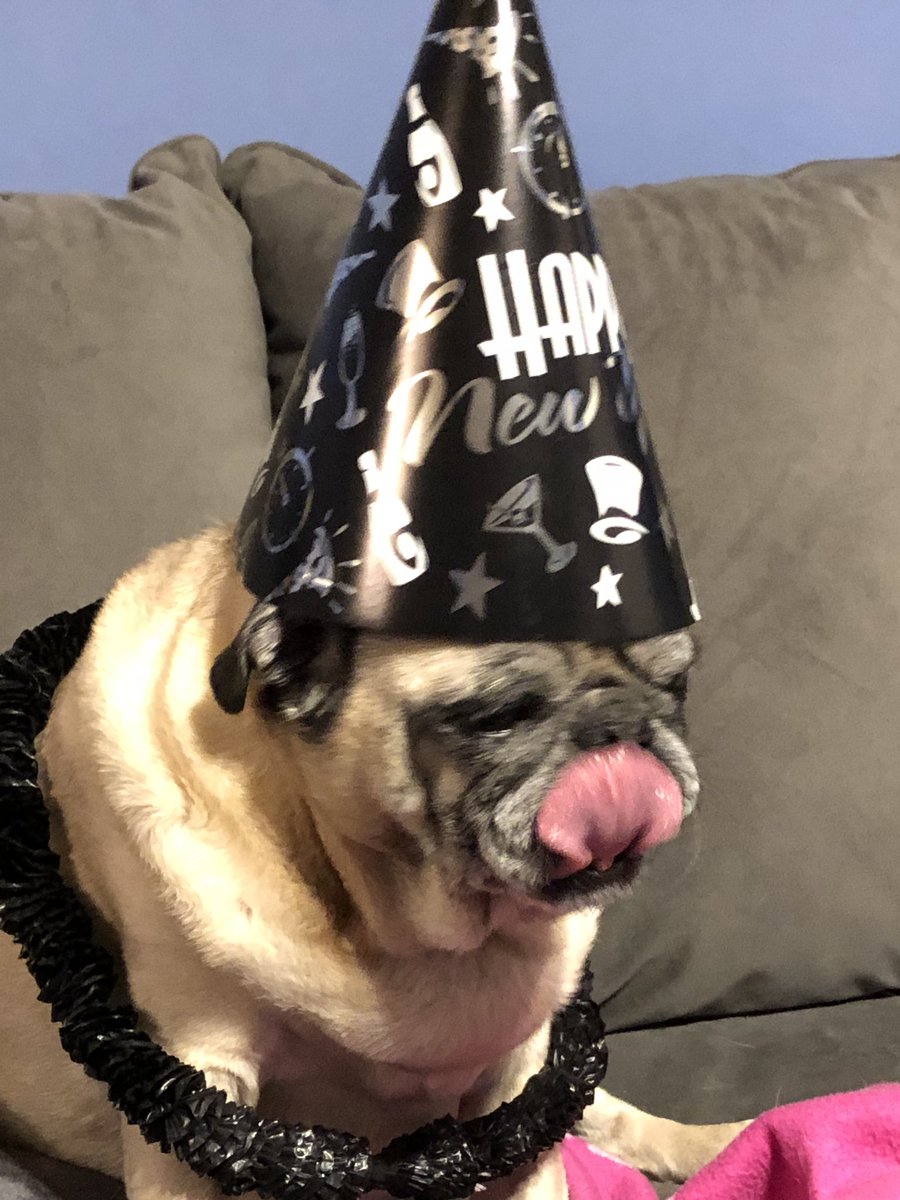 GeneralRoscoPUG's tweet photo. I think #General needs to slow down.... #drunkpug #NewYears2018 #puglife https://t.co/NWxMkLZc6A