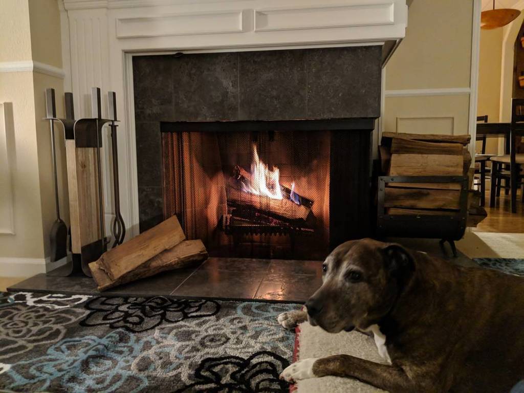 bisicoder's tweet image. 1st fire and last fire of #2017 #HappyNewYear #onlytookusthreeyears ift.tt/2ltLNwR