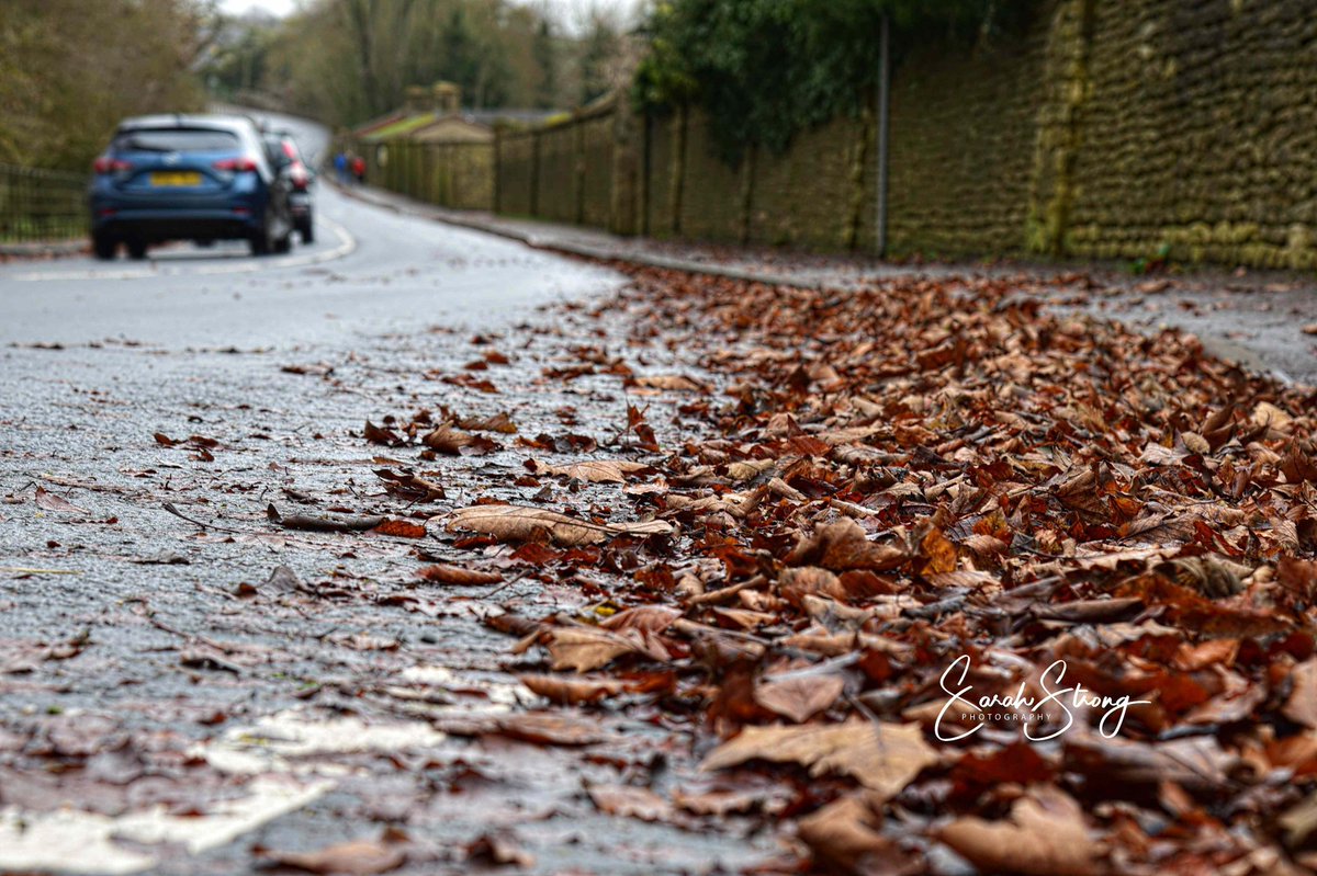 a8aec2f27e7d41d's tweet photo. #SlowDown #winter #DRIVING #England #leaves #roadconditions https://t.co/llCTtTS4qy