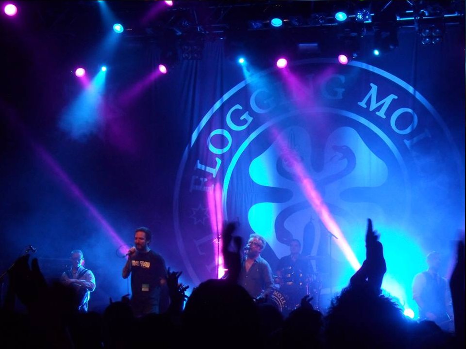 SphericalManor's tweet photo. Favourite gig of 2017? Tough choice but @FloggingMolly at the @O2ForumKTown is right up there. @Bustershuffle and @TheAttackFL also great that evening. Even @FrankTurner turned up and mucked in. https://t.co/fOYhMhKIaf