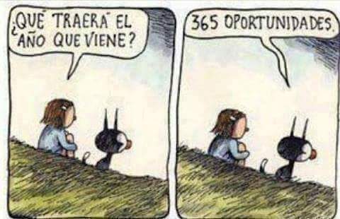 Cecilmallo's tweet photo. Me encanta! 🎆🎉✨ https://t.co/Db6579PM28