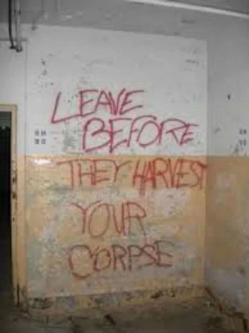 OddNMacabre's tweet photo. What would ya do if you saw this in an abandoned building you were exploring? https://t.co/0kZt2DRxgn