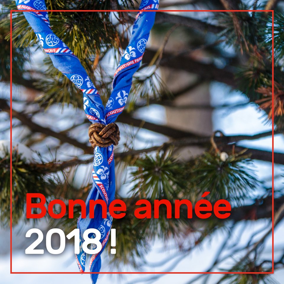 ScoutismeFR's tweet photo. Bonne année 2018 ! 🎉 https://t.co/7QBx5lK37k
