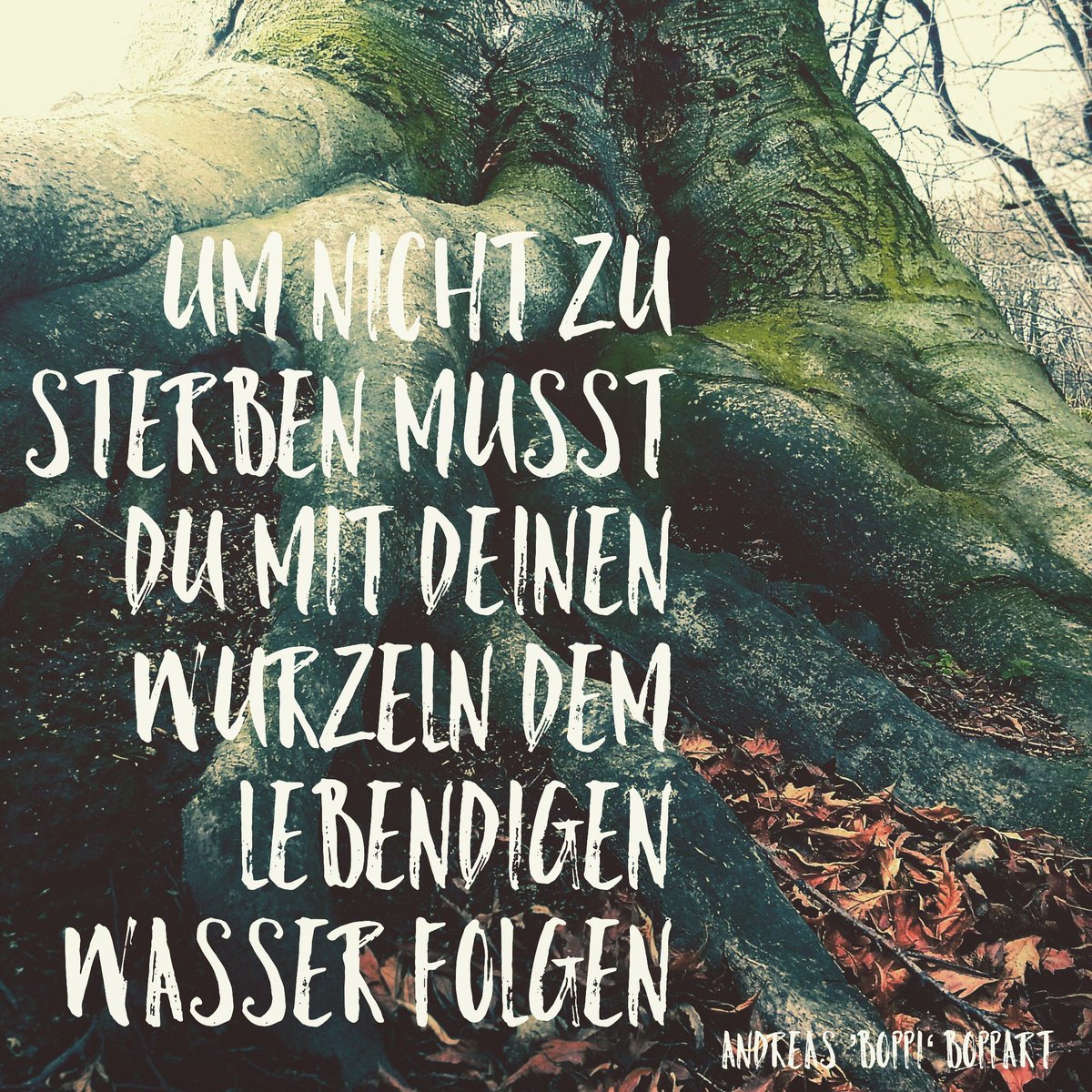 mat_tweet's tweet photo. Um nicht zu sterben musst du mit deinen Wurzeln dem lebendigen Wasser folgen
Andreas ’Boppi‘ Boppart @andreasboppart #Explo17 https://t.co/TgAMB5bbWK