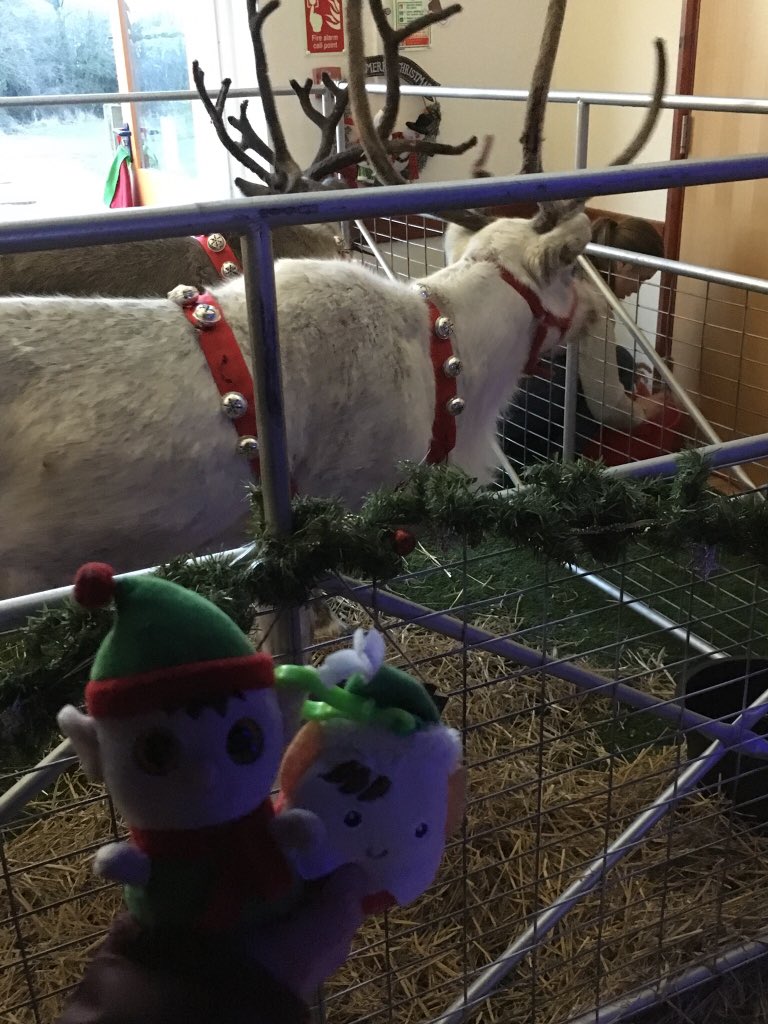 fleelf2's tweet photo. @Alex_T_Smith #reindeers https://t.co/OtAG2fxWrf