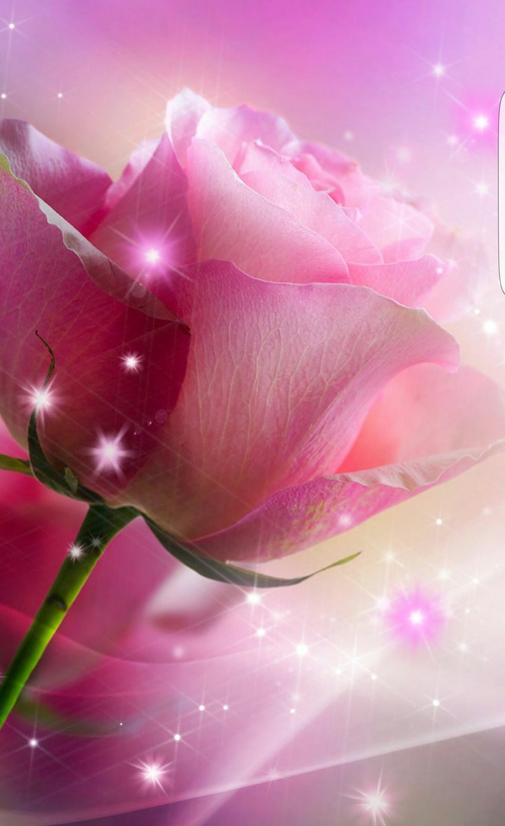 nochkanouche's tweet photo. @Valrie43053786 @DjaelleAvril @Mika_Felin @Noo_nuite Merci ma choupinette 🙏💜 belle et heureuse année à toi et à toute ta p'tite famille 🤗 gros gros bisous du 💖 https://t.co/M6JcisoUPV