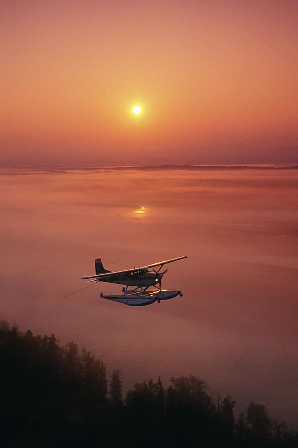 Ron Eisele tweet media