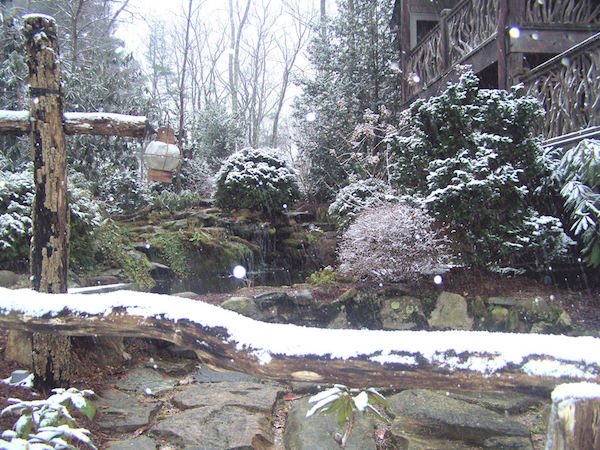 HomeAdvisor's tweet photo. While most landscaping tips are concerned with tending plants during the growing season, winter landscaping is every bit as important if you want to have a great-looking lawn and healthy, vibrant plants. https://t.co/Lxf0UbbTPH https://t.co/TbizEzPwoJ