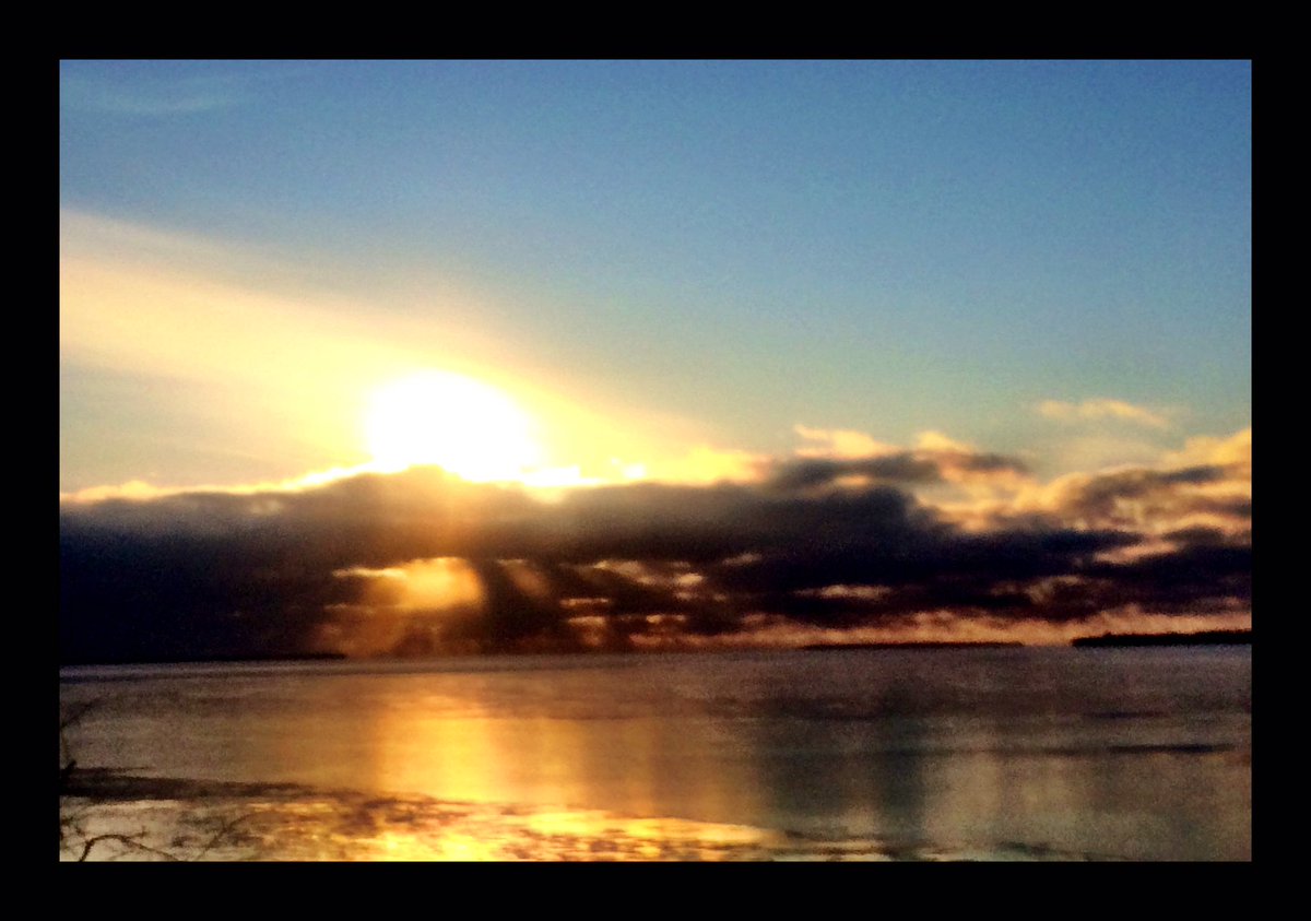 Steph Mizgala tweet media