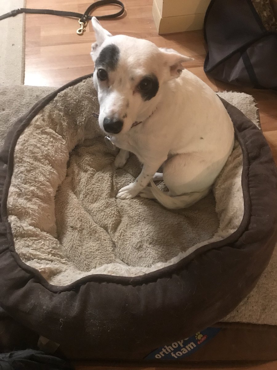 Dad said "just for once, please look happy." So I got brought in a stunt double. Happy now? DAD?