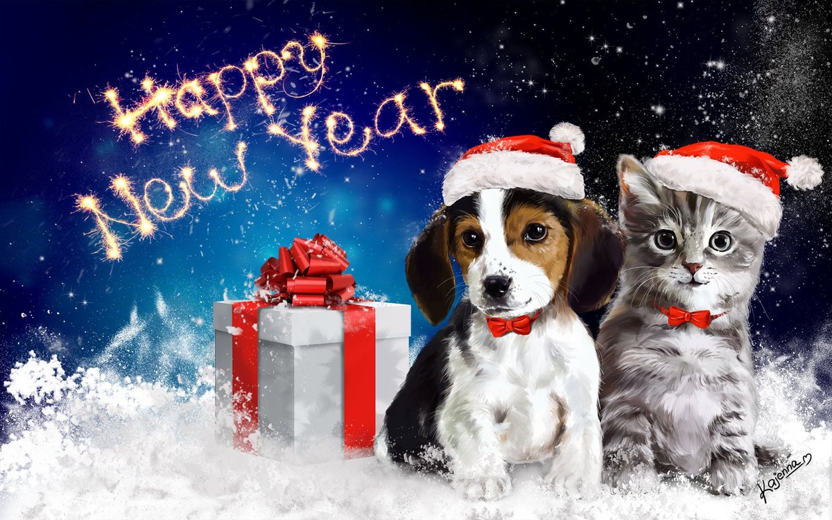 AsunaSeijuro's tweet photo. Bonne année a tout les chiens a et également au autres animaux, j’espère qu'il on eu un très beau Noël eux aussi #HappyNewYear #HappyNewYear2018 #BonneAnnee2018 #BonneAnnee #Chien #Dog #AmourDeChiens #LoveIsDogs 🐶🎆😘 https://t.co/pHPnu1FWUN