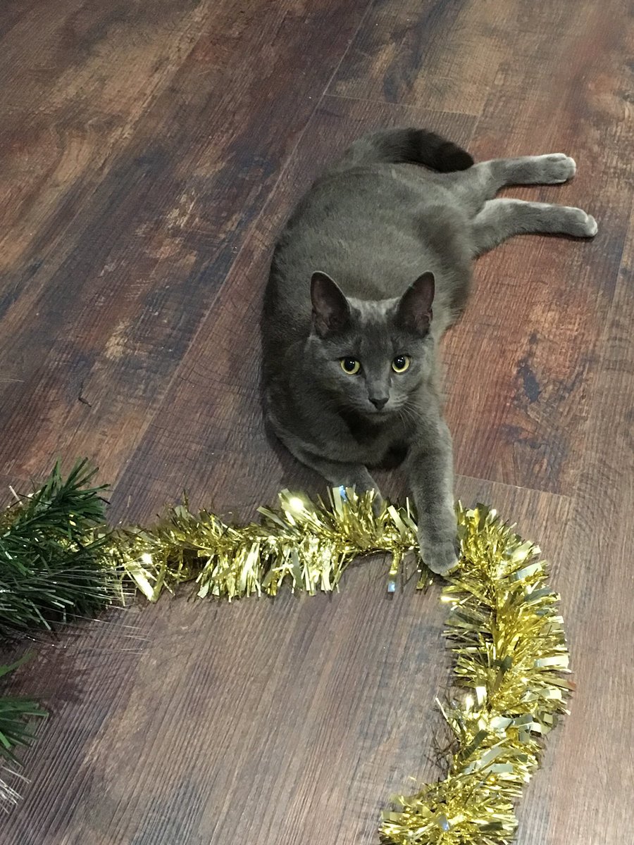ChubbyTown's tweet photo. Hey it’s 2018 time https://t.co/5AY1OmE9VM