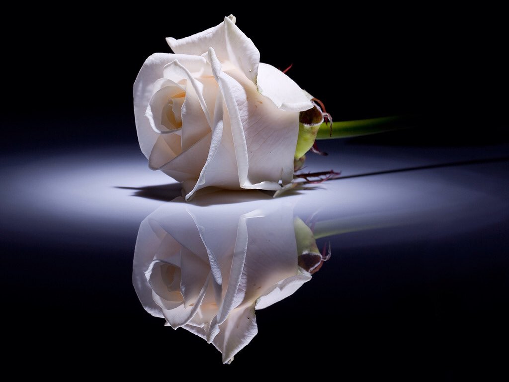 Ian522191's tweet photo. Test https://t.co/8WIZ7lfNoK