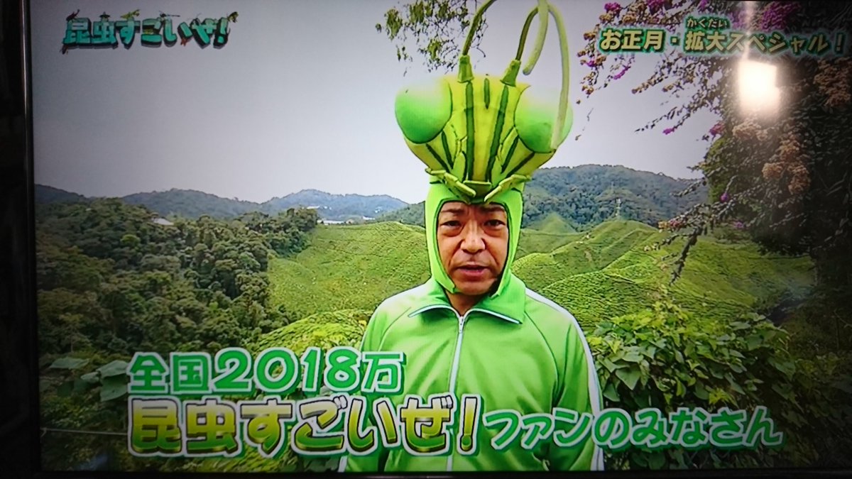 カマキリ先生マレーシアへ行く 香川照之さんカマキリ愛が溢れすぎて 食べちゃいたい 口に入れて持って帰りたい 昆虫すごいぜ Togetter カマキリ先生マレーシアへ行く 香川照之さんカマキリ愛が溢れすぎて 食べちゃいたい 口に入れて持って帰りたい 昆虫すごいぜ Togetter