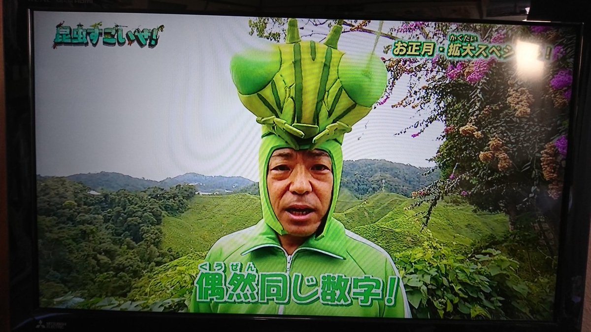 カマキリ先生マレーシアへ行く 香川照之さんカマキリ愛が溢れすぎて 食べちゃいたい 口に入れて持って帰りたい 昆虫すごいぜ Togetter カマキリ先生マレーシアへ行く 香川照之さんカマキリ愛が溢れすぎて 食べちゃいたい 口に入れて持って帰りたい 昆虫すごいぜ Togetter